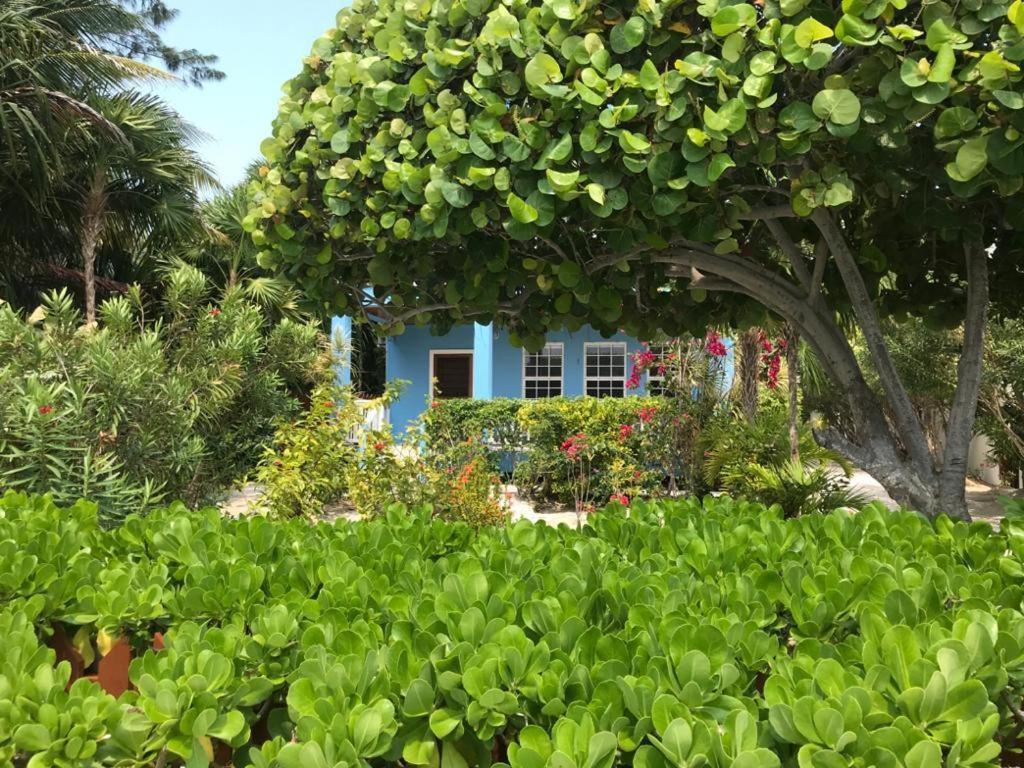 Sandy'S Secret Cayo Caulker Exterior foto