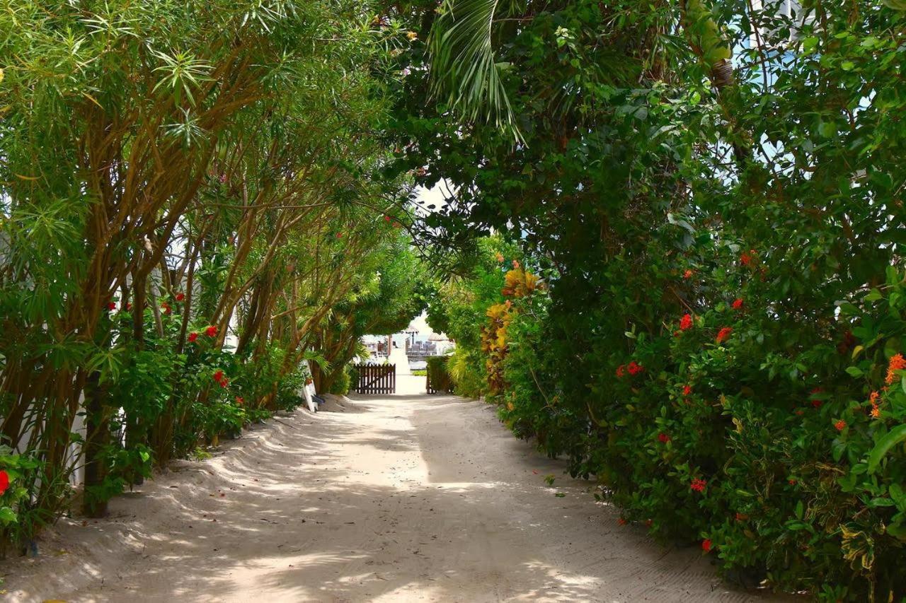 Sandy'S Secret Cayo Caulker Exterior foto