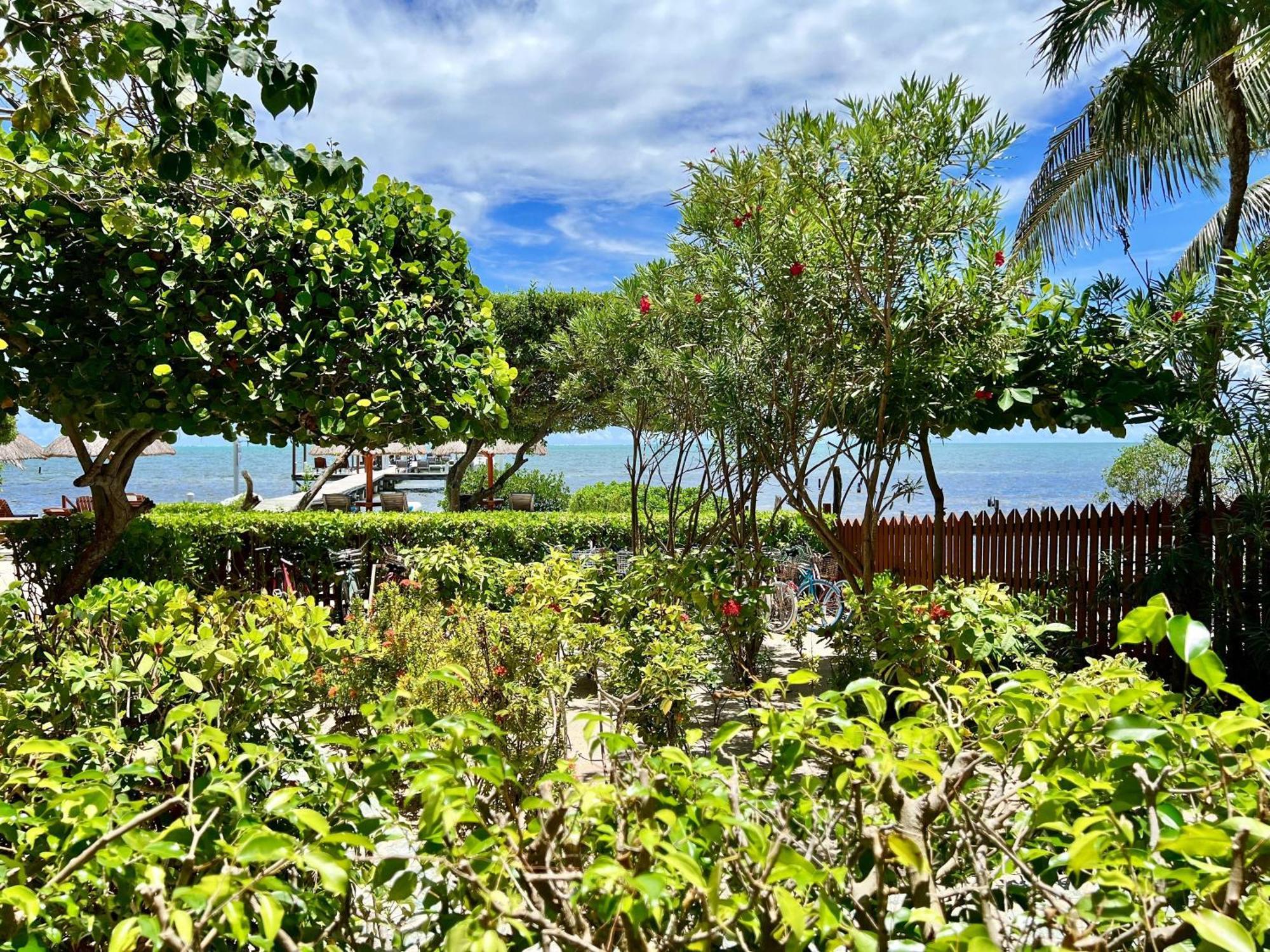 Sandy'S Secret Cayo Caulker Exterior foto